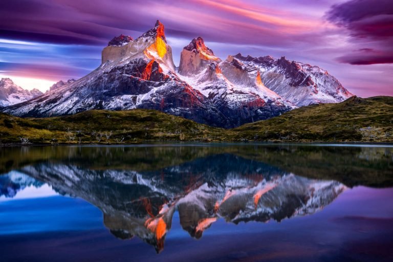 The History of Tasty Bakery